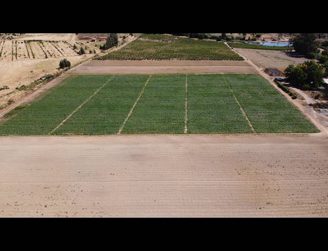 16.70HA FARM FOR SALE IN PAARL RURAL